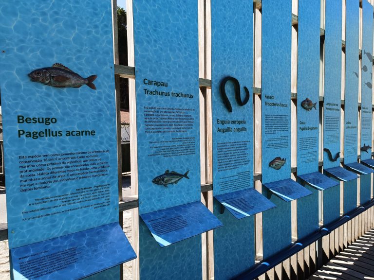 pesca tanque3