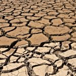 A high angle shot of the dried and cracked muddy ground