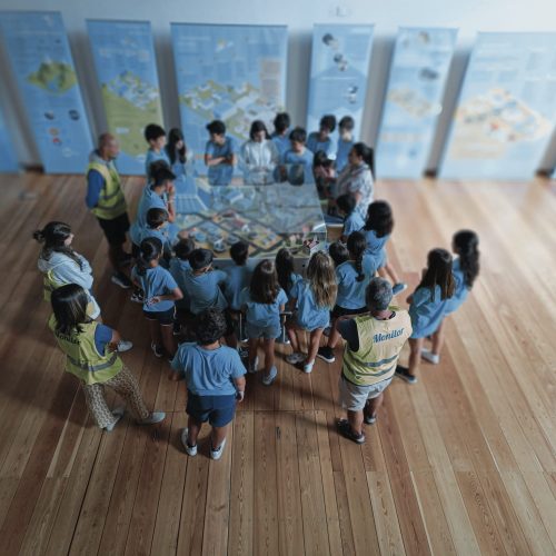 Exposições Itinerantes