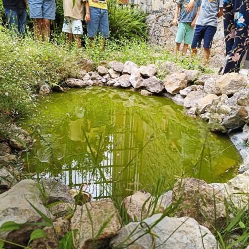 Biodiversidade