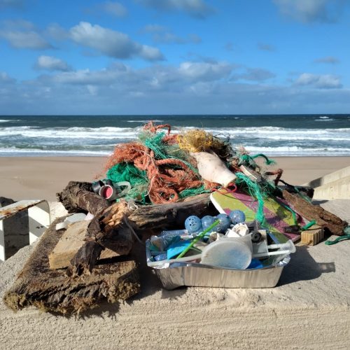 Sensibilização Ambiental