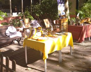 img_acoes_edu_sensib_amb-89