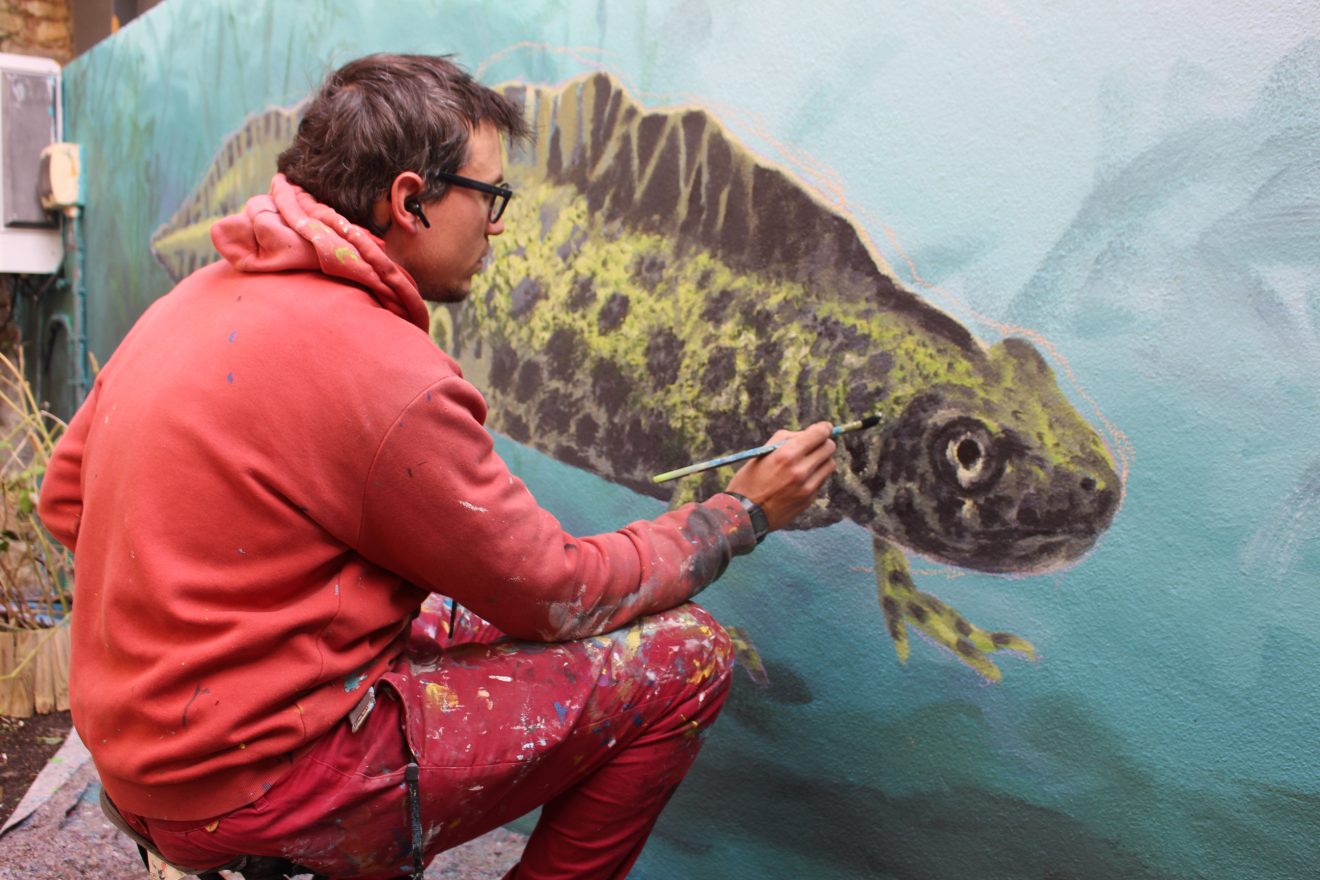 Tiago Hacke pinta camaleão