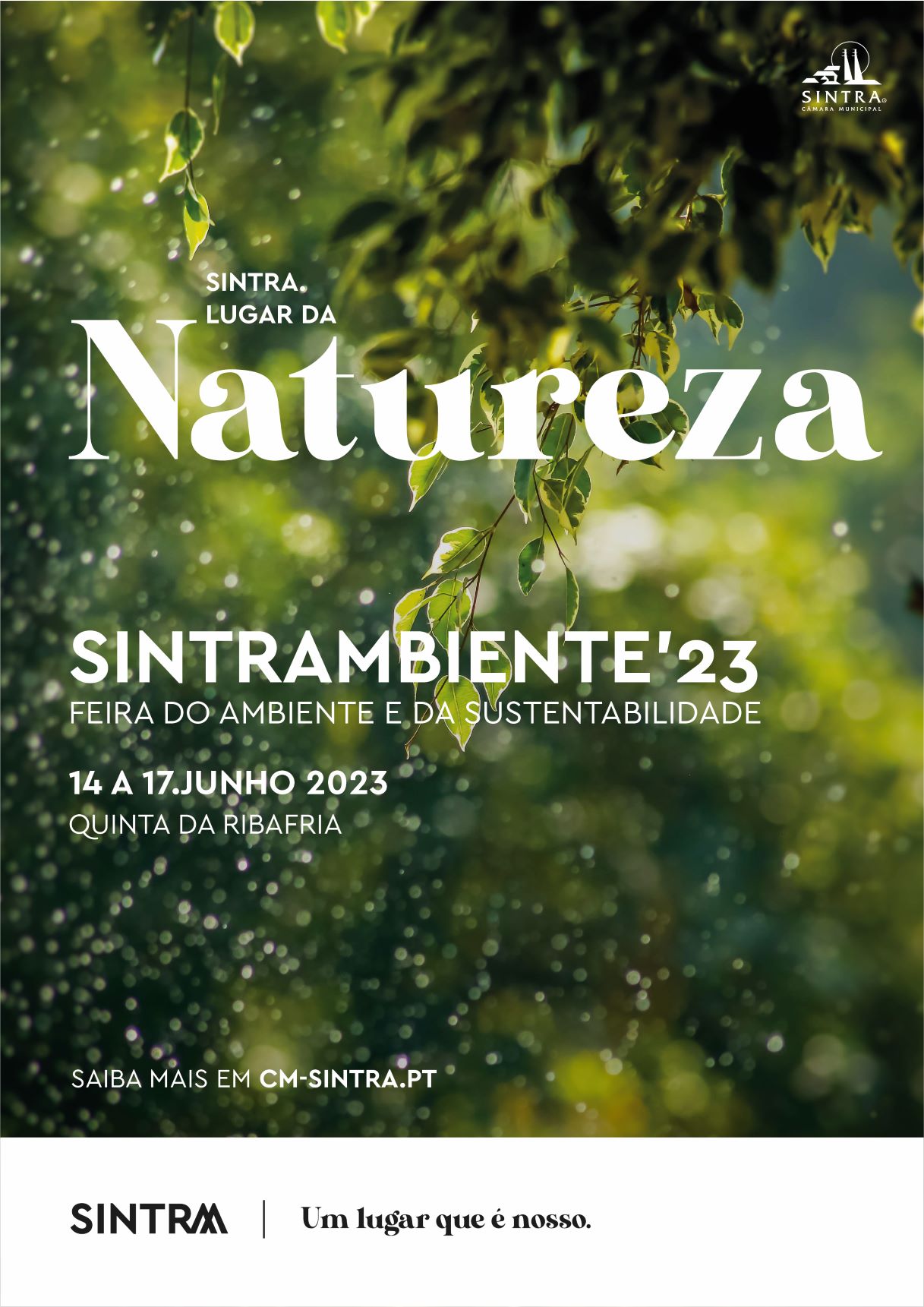 SintrAmbiente2023_CartazA3-email
