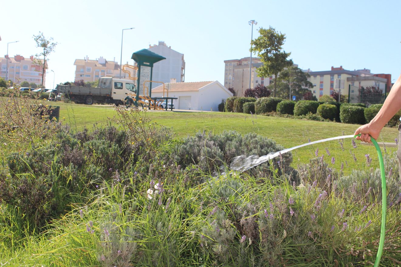 Rega do Parque Urbano da Cavaleira