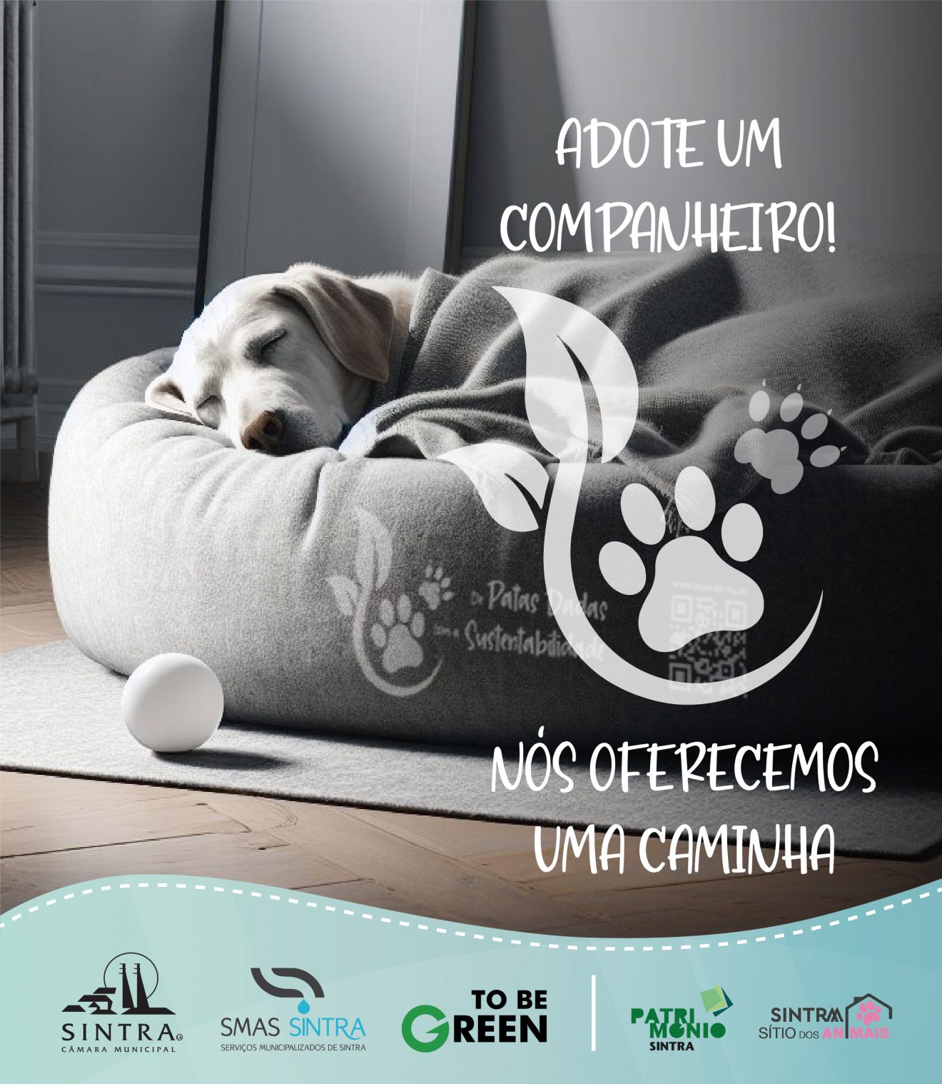 De Patas Dadas com a Sustentabilidade-14-9-2023-10