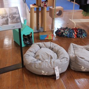 Campanha "De Patas Dadas com a Sustentabilidade" distinguida pela Associação de Limpeza Urbana