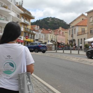 Campanha "Sintra Vidro + Vidro" já está nas ruas da sede do concelho