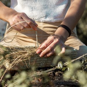 Museu da Água e Resíduos vai dar uma nova vida aos resíduos verdes