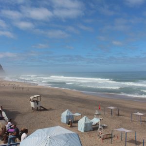 SMAS de Sintra apoiam Festival da Sardinha, na Praia Grande