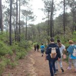 Última chamada para o Sintra Trail Cruz Alta (2 de novembro)