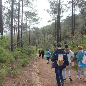 Última chamada para o Sintra Trail Cruz Alta (2 de novembro)