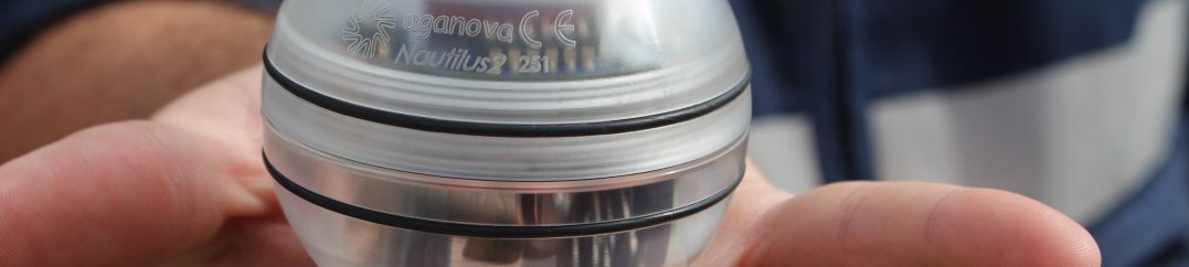 SMAS de Sintra reabilitam conduta de DN600, na Tapada das Mercês