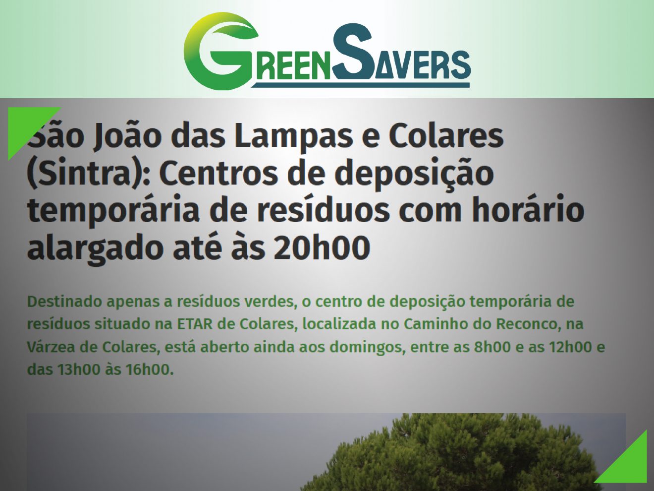 prints_fev_2026-11