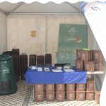 Festa da Primavera (Mira Sintra) conta com a participação dos SMAS de Sintra