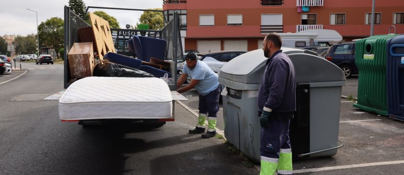 Recolha de "monos" aumenta