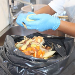 Sintra aumenta valorização de restos alimentares