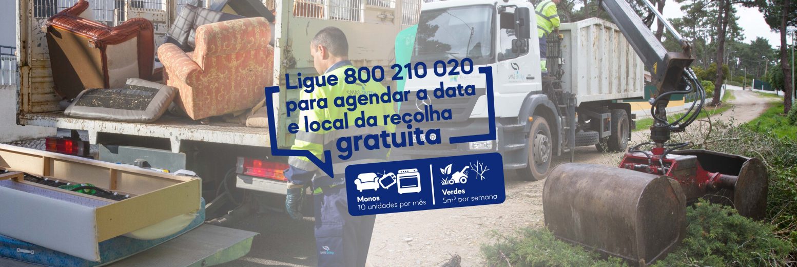 Sintra: Recolha de “monos” aumenta