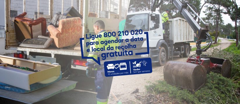 Sintra: Recolha de "monos" aumenta