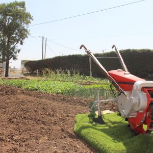 SMAS de Sintra apoiam AGROARUIL, "a verdadeira festa da terra"